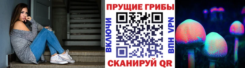 Псилоцибиновые грибы мухоморы  Михайловск 